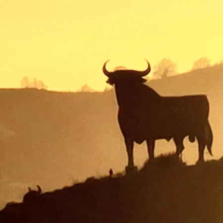 Mar Y Luz Eco Appartement Fuengirola