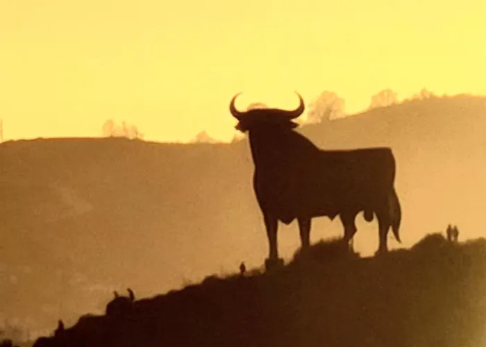 Mar Y Luz Eco アパート フエンヒロラ